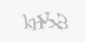 Защитный код