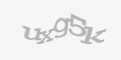 Защитный код