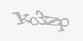 Защитный код