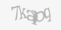 Защитный код