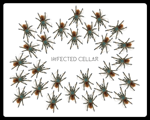 infected cellar